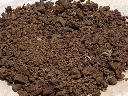 Screened, dried cow dung manure spread on a sheet